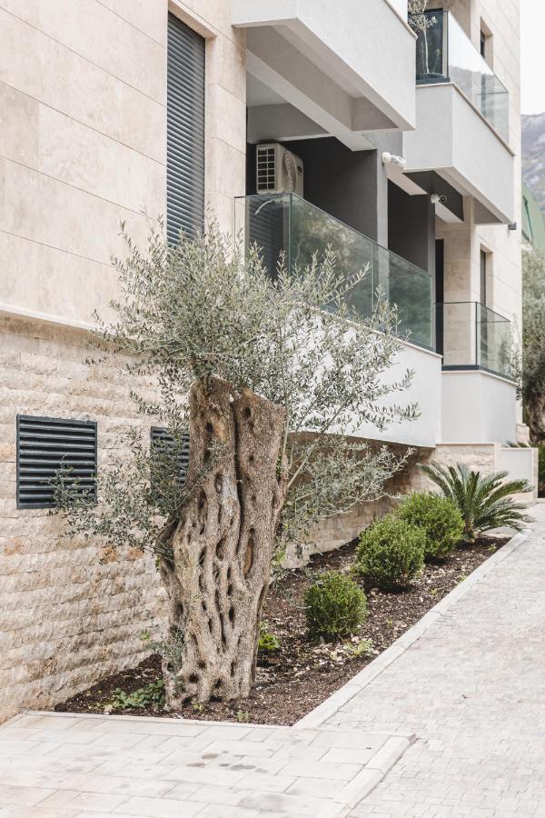 Zafiro Spa & Appartement